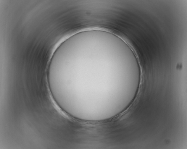 X0000111050813200906251118