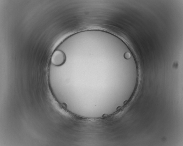 X0000111050814200906251118