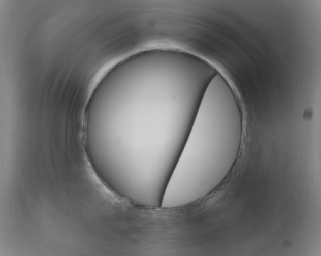 X0000111050815200906251118