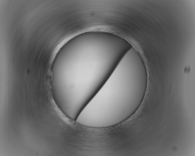 X0000111050816200906251118