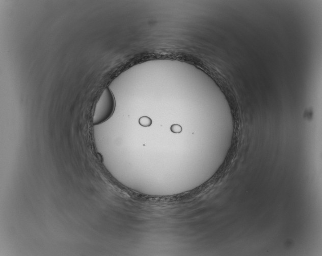 X0000111050817200906251117