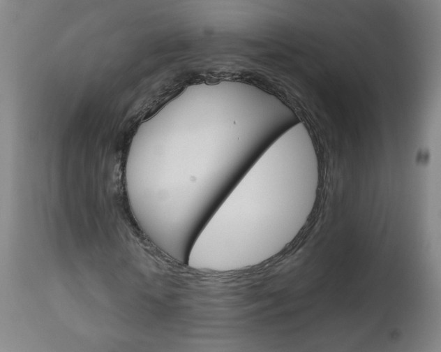X0000111050818200906251117