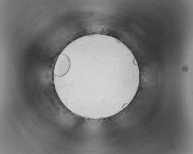 X0000111050820200906251117