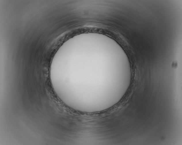 X0000111050821200906251117