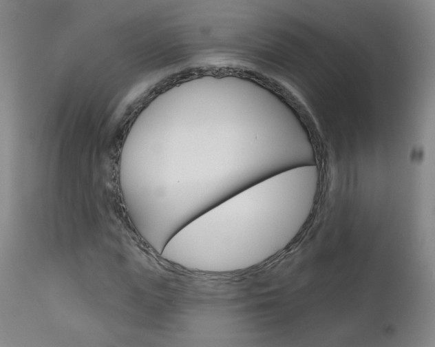 X0000111050823200906251118