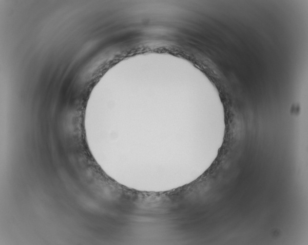 X0000111050824200906251118