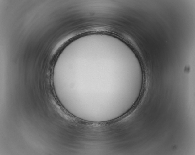 X0000111050827200906251118