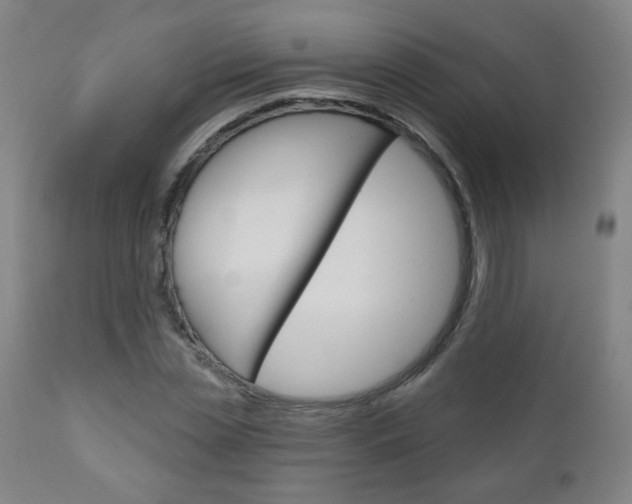 X0000111050829200906251118