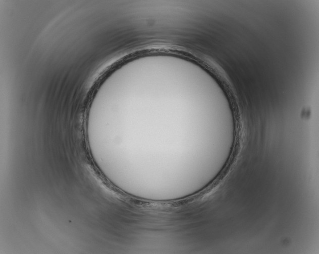 X0000111050831200906251118