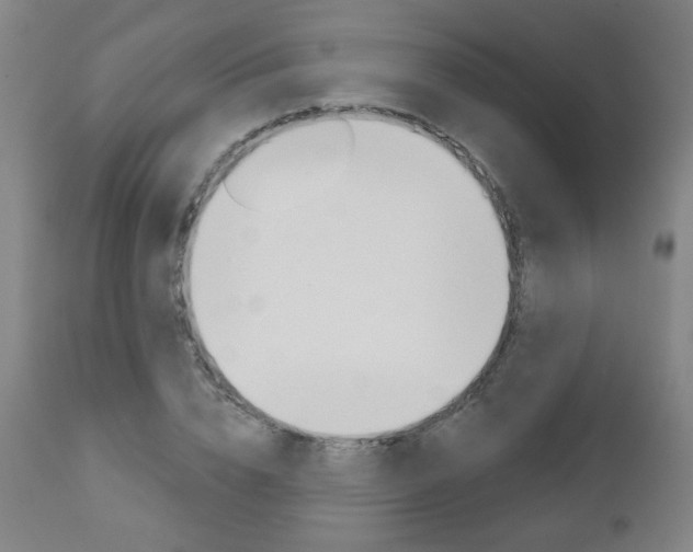 X0000111050832200906251118