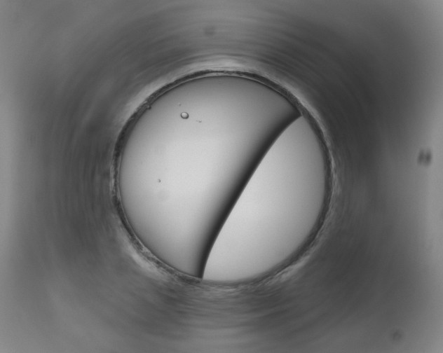 X0000111050837200906251118