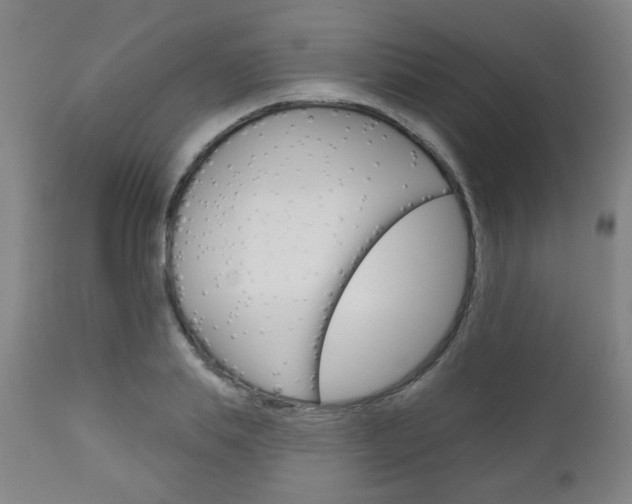 X0000111050839200906251118