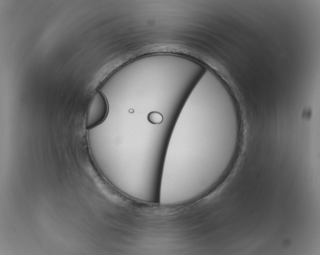 X0000111050841200906251118