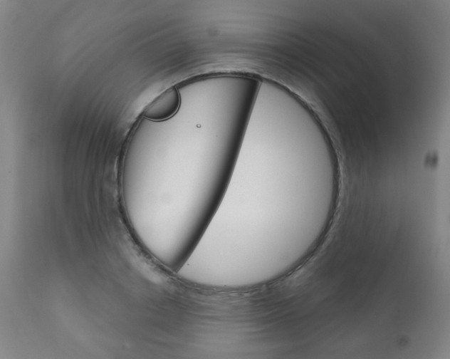 X0000111050842200906251118