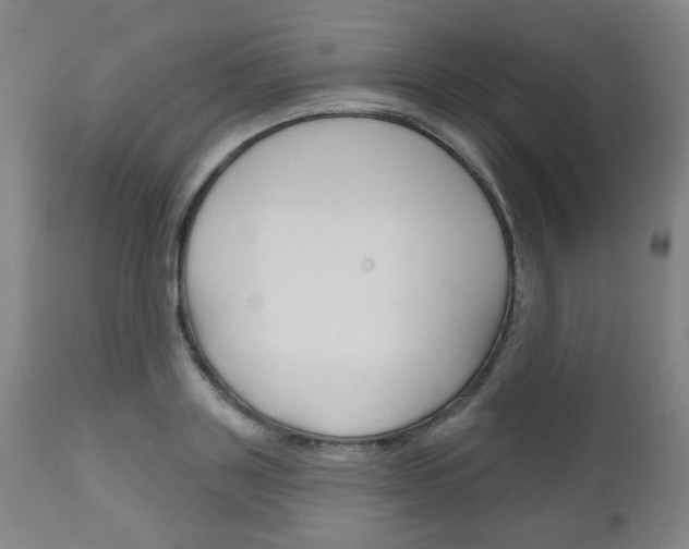 X0000111050843200906251118