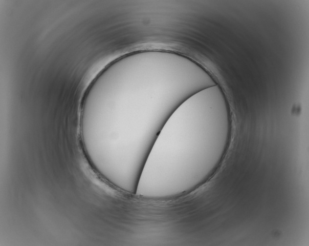 X0000111050844200906251118