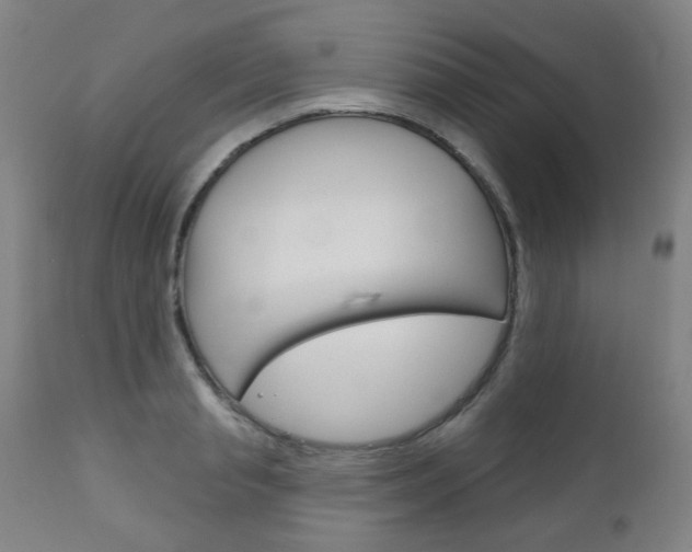X0000111050845200906251118
