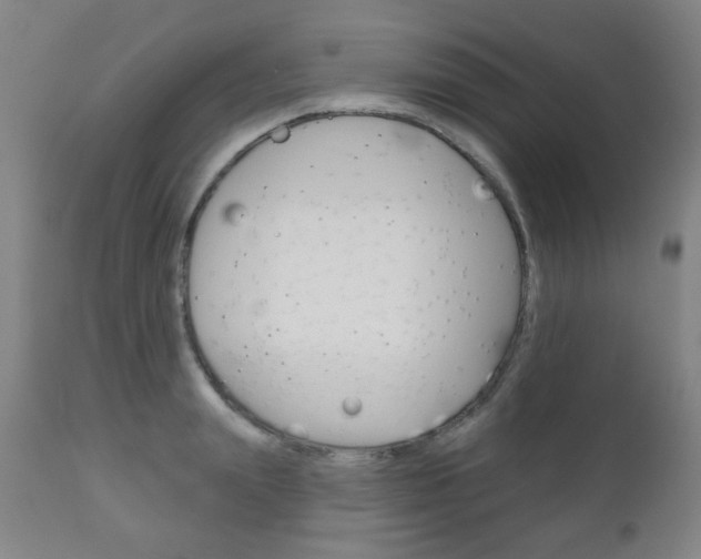 X0000111050847200906251118