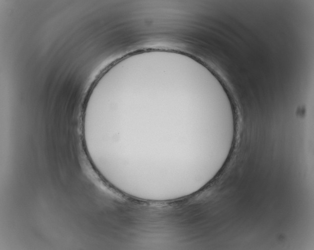X0000111050848200906251118