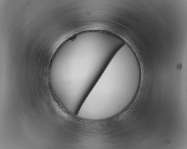 X0000111050850200906251118