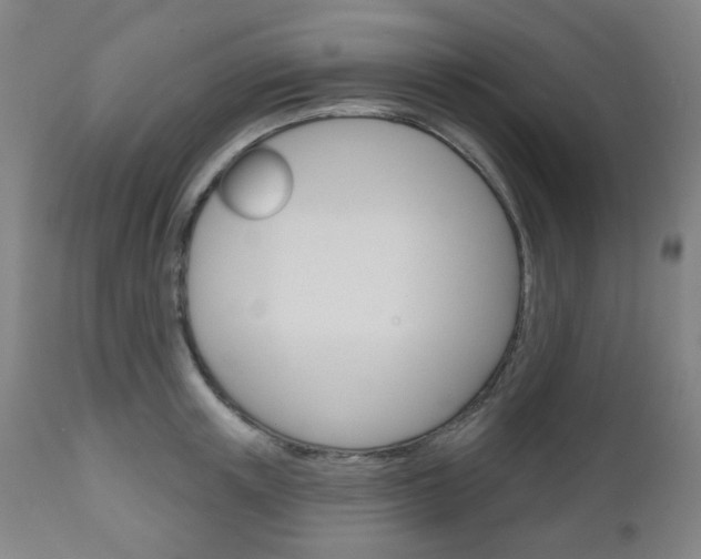 X0000111050851200906251118