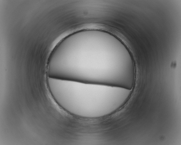 X0000111050853200906251118