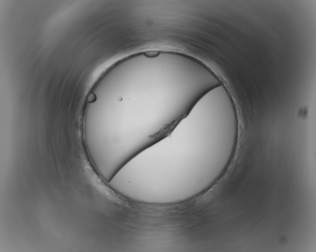 X0000111050854200906251118
