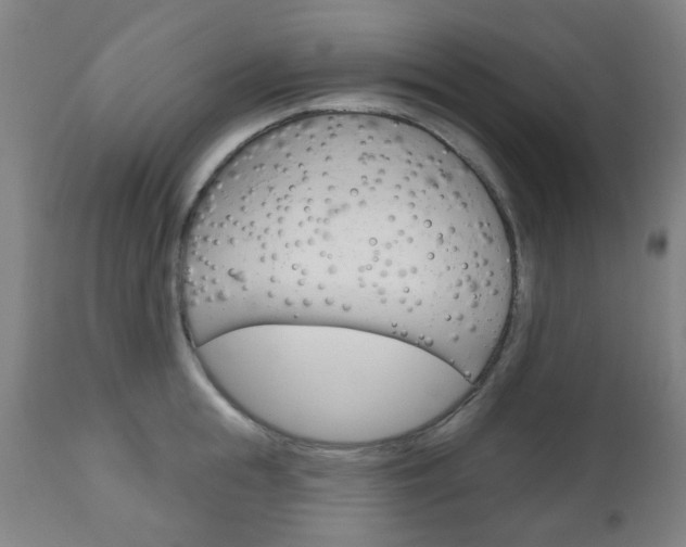 X0000111050855200906251118