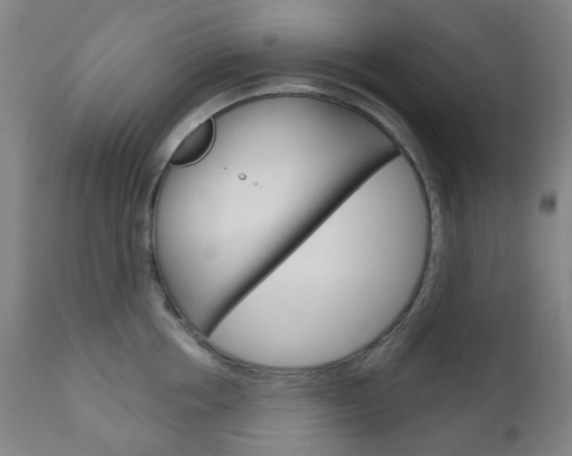 X0000111050858200906251118