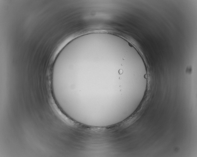 X0000111050859200906251118