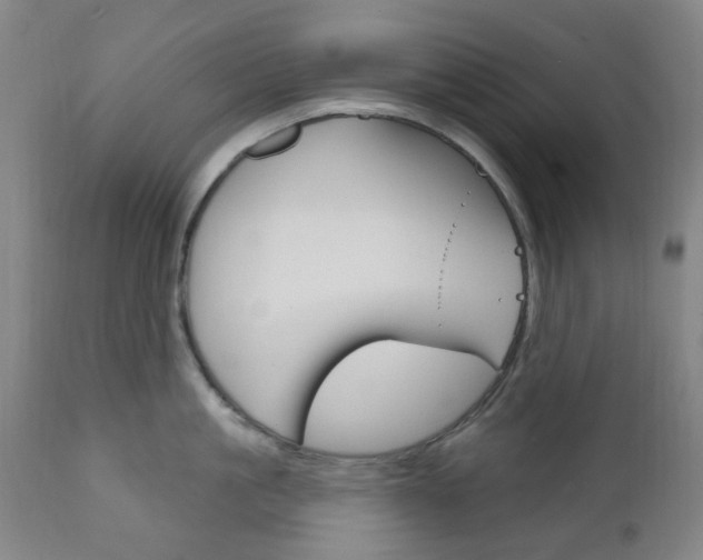 X0000111050861200906251118