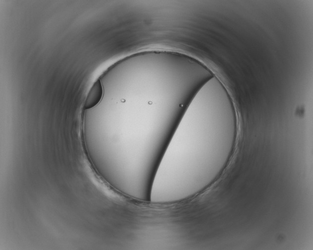 X0000111050862200906251118