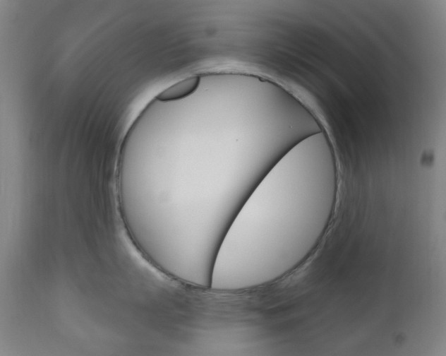 X0000111050863200906251118