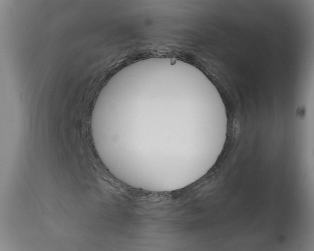 X0000111050865200906251117