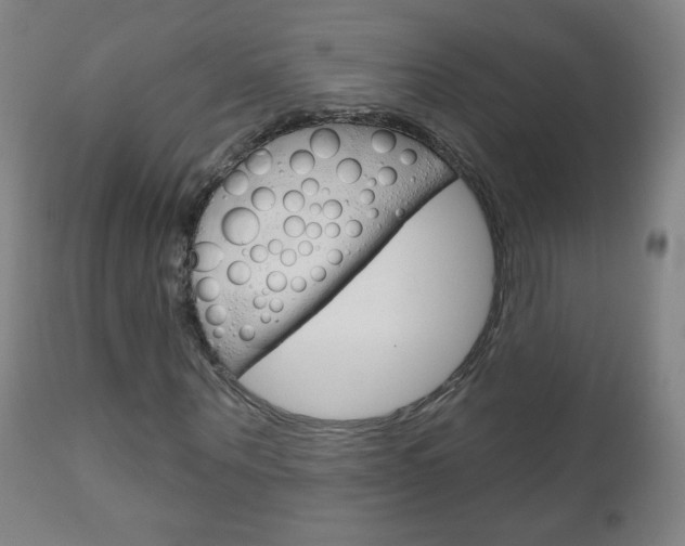 X0000111050867200906251117