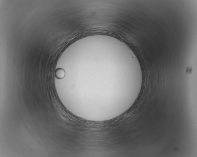 X0000111050868200906251117