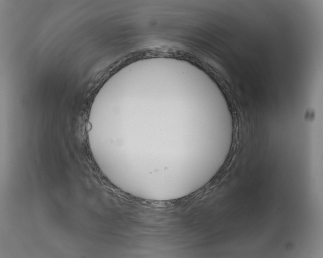 X0000111050869200906251117