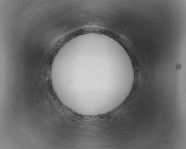 X0000111050870200906251117