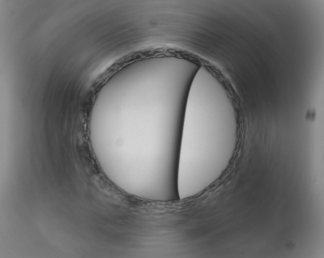 X0000111050871200906251117