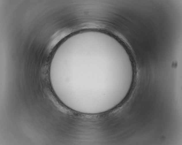 X0000111050874200906251117