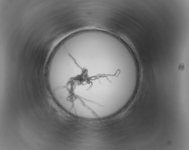 X0000111050876200906251117