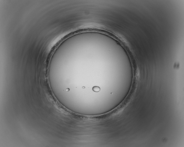X0000111050877200906251117