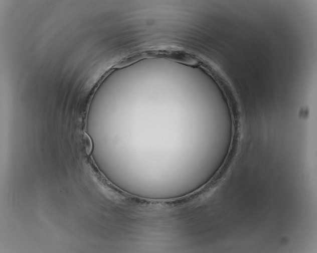 X0000111050881200906251117