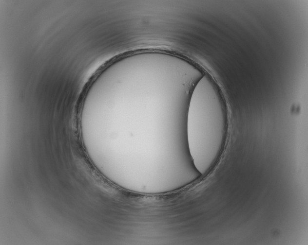 X0000111050883200906251117