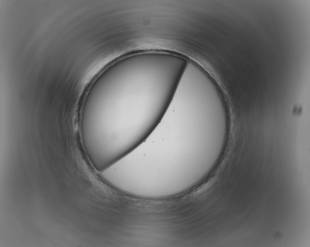 X0000111050885200906251117