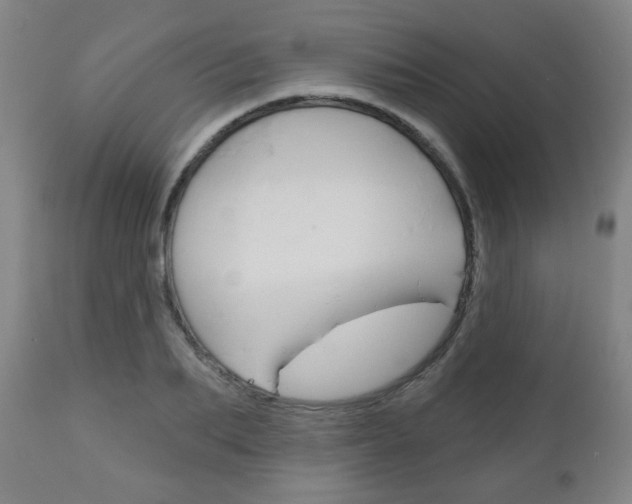 X0000111050887200906251117