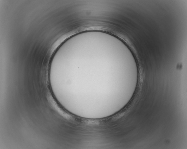 X0000111050890200906251117