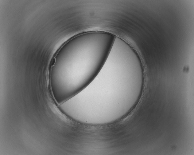 X0000111050892200906251117