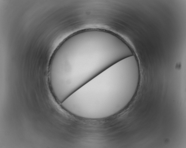 X0000111050895200906251117