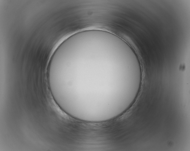 X0000111050900200906251117